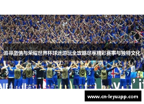 追寻激情与荣耀世界杯球迷游玩全攻略尽享精彩赛事与独特文化