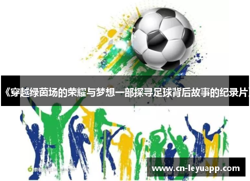《穿越绿茵场的荣耀与梦想一部探寻足球背后故事的纪录片》
