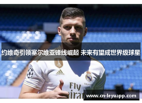 约维奇引领塞尔维亚锋线崛起 未来有望成世界级球星