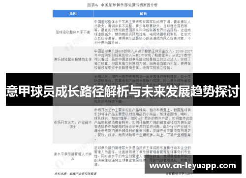 意甲球员成长路径解析与未来发展趋势探讨