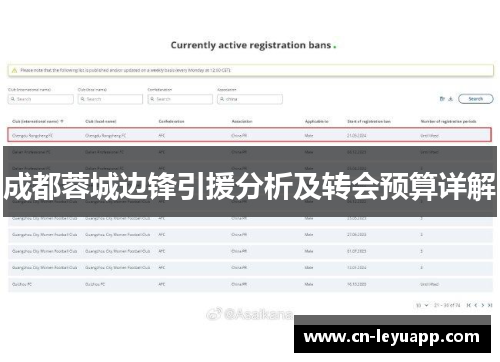 成都蓉城边锋引援分析及转会预算详解