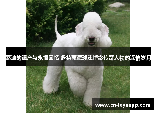 泰迪的遗产与永恒回忆 多特蒙德球迷悼念传奇人物的深情岁月