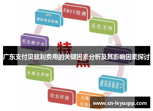 广东支付贝兹利费用的关键因素分析及其影响因素探讨