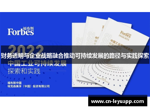财务透明与企业战略融合推动可持续发展的路径与实践探索