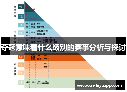夺冠意味着什么级别的赛事分析与探讨