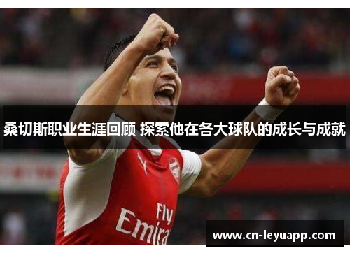 桑切斯职业生涯回顾 探索他在各大球队的成长与成就 桑切斯职业生涯回顾 探索他在各大球队的成长与成就