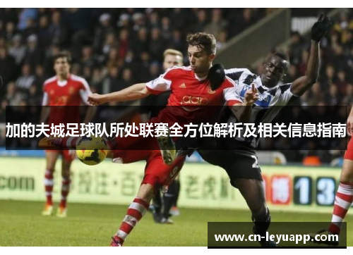 加的夫城足球队所处联赛全方位解析及相关信息指南